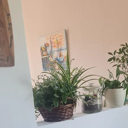 Anea * Винишче