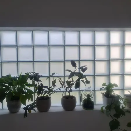 Apartment Anea Vinisce