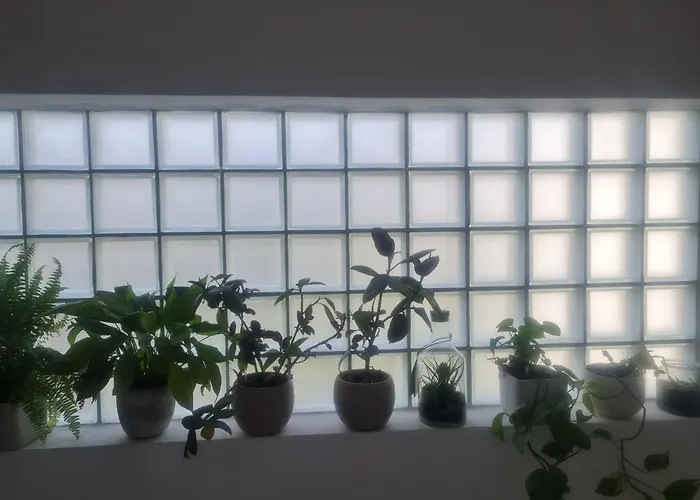 Apartman Anea Vinišće